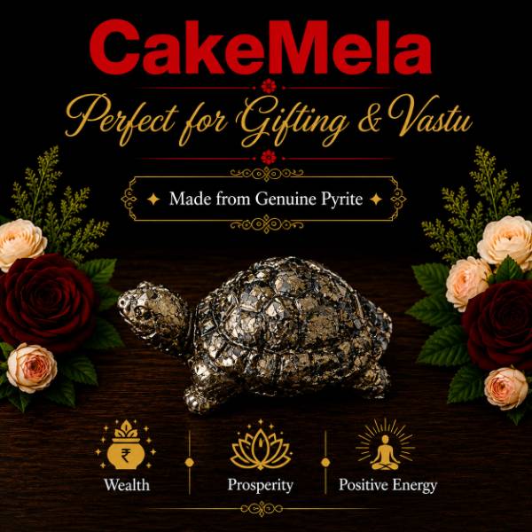 Genuine Pyrite Turtle